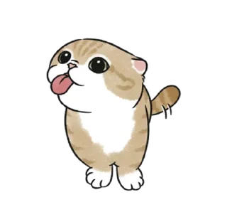 😛