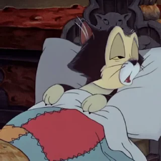 😴