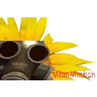 🌻