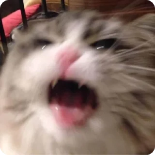 😡
