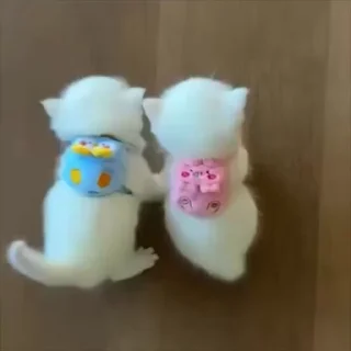 🌟