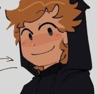 🌟