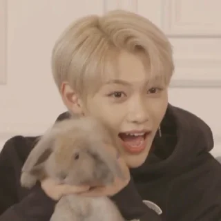 🐰