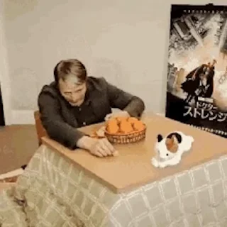 😽