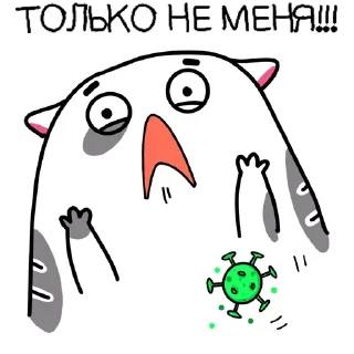 Zhirobarsik3
