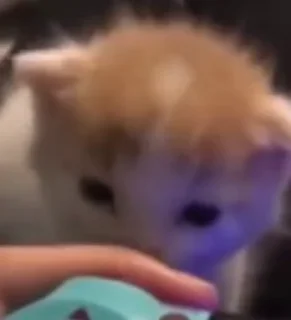 🥰