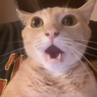 😳