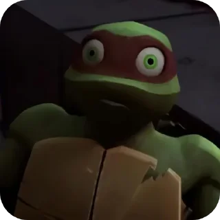 🐢