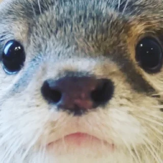 😐