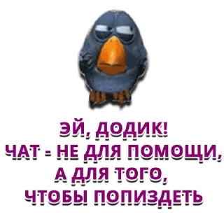 😺
