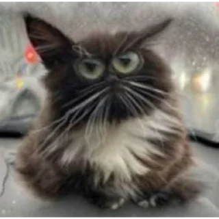 😐
