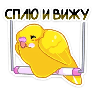 😴