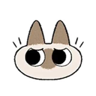 😺