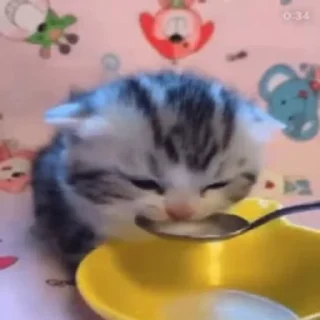 🥛