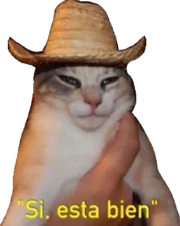 🌮