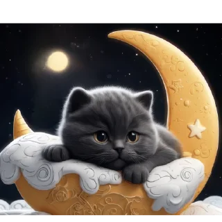 🌙