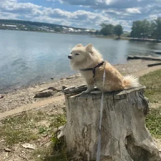 😁
