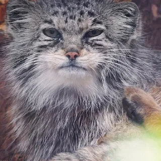 😉