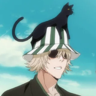 🐈‍⬛