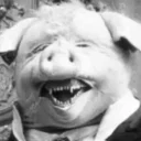 🐖