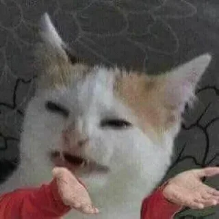 🤨