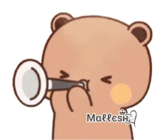 🐻