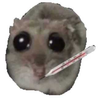 🌡