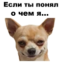 😏