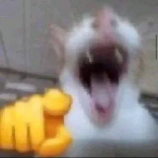 😂
