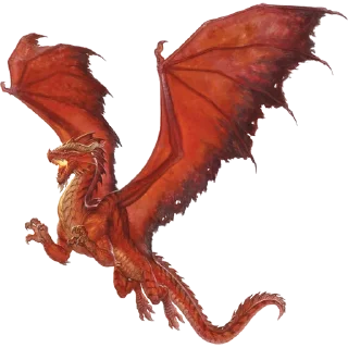 🐲