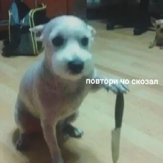 🗡️
