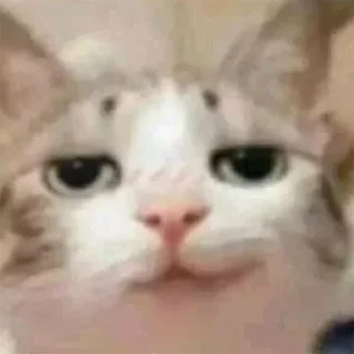 😏