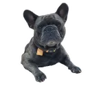 🐶