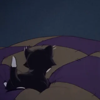 😾