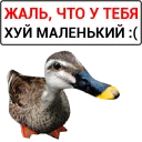 🦆