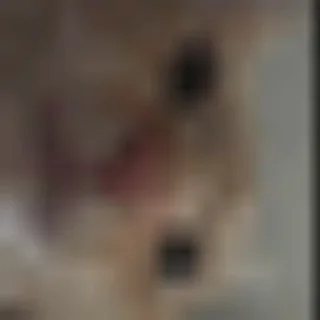 ➡️