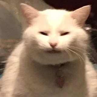 ☺️