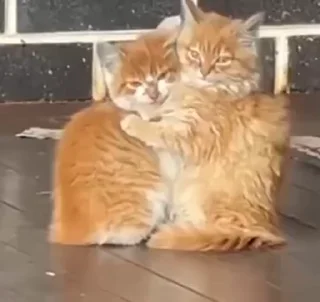 🥰
