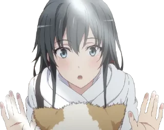 🐱