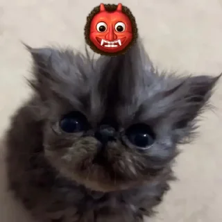 👹