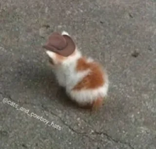 😢