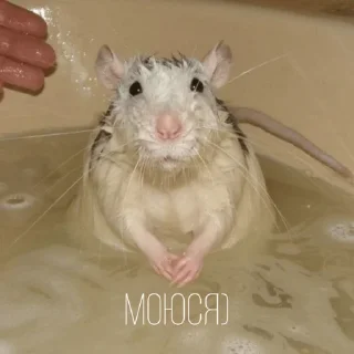 🛁