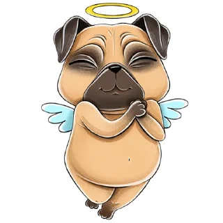 😇