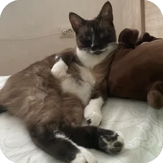 😎