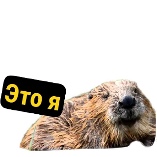🙃