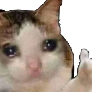 👍