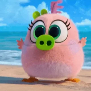 🐽