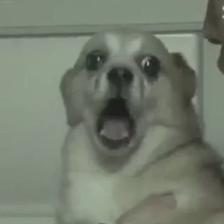 😱