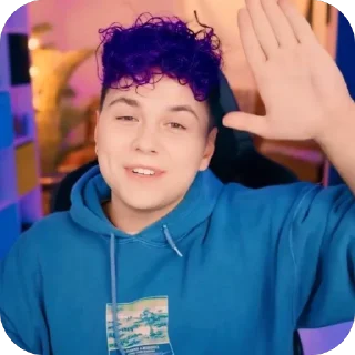 🤚