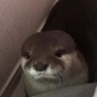 😕